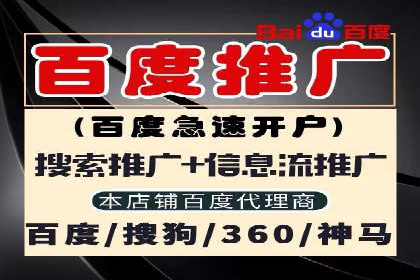 百度竞价包年服务：打造企业核心竞争力